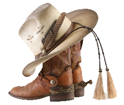 Cowboy Boots and Daisies