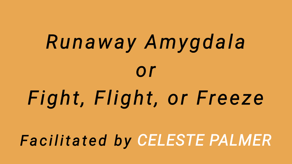 Runaway Amygdala or Fight, Flight, or Freeze : facilitated by Celeste Palmer